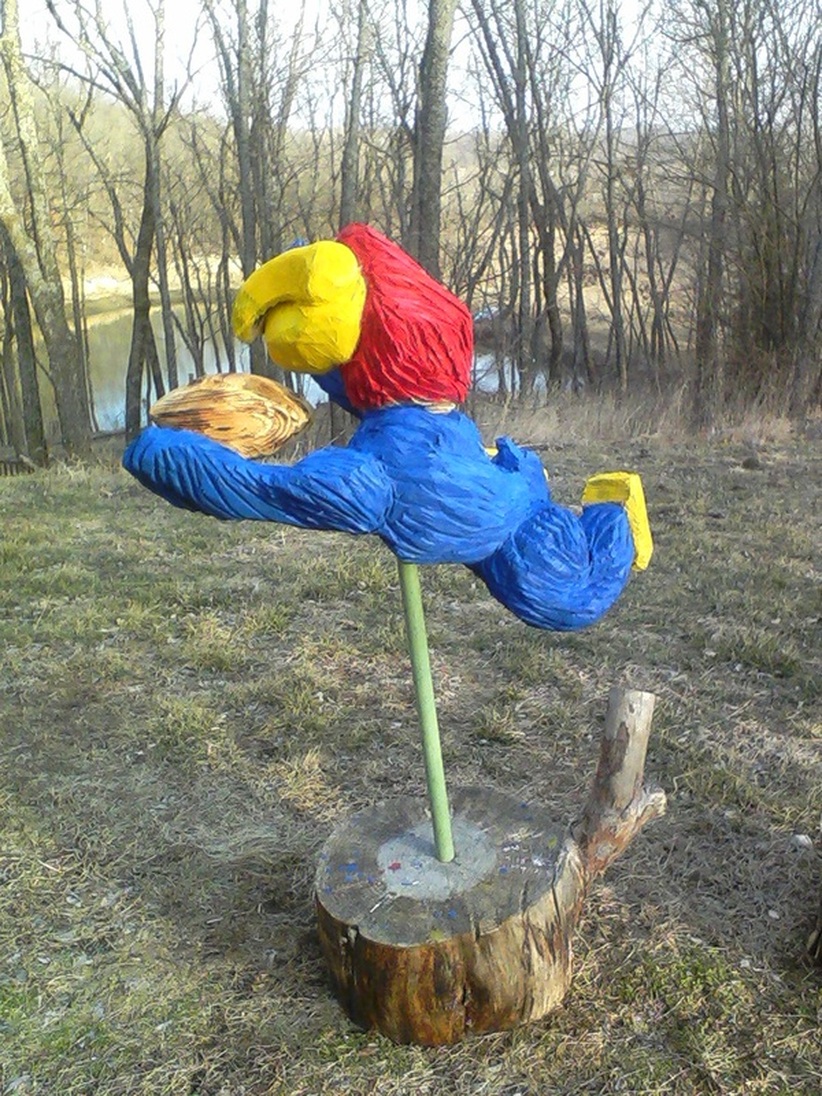 Kansas Jayhawk Football Player
